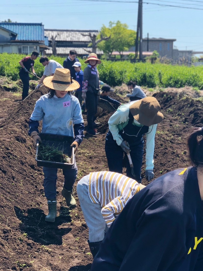 LINE_ALBUM_2026.5.2畝づくり_マルチ張り_260502_1