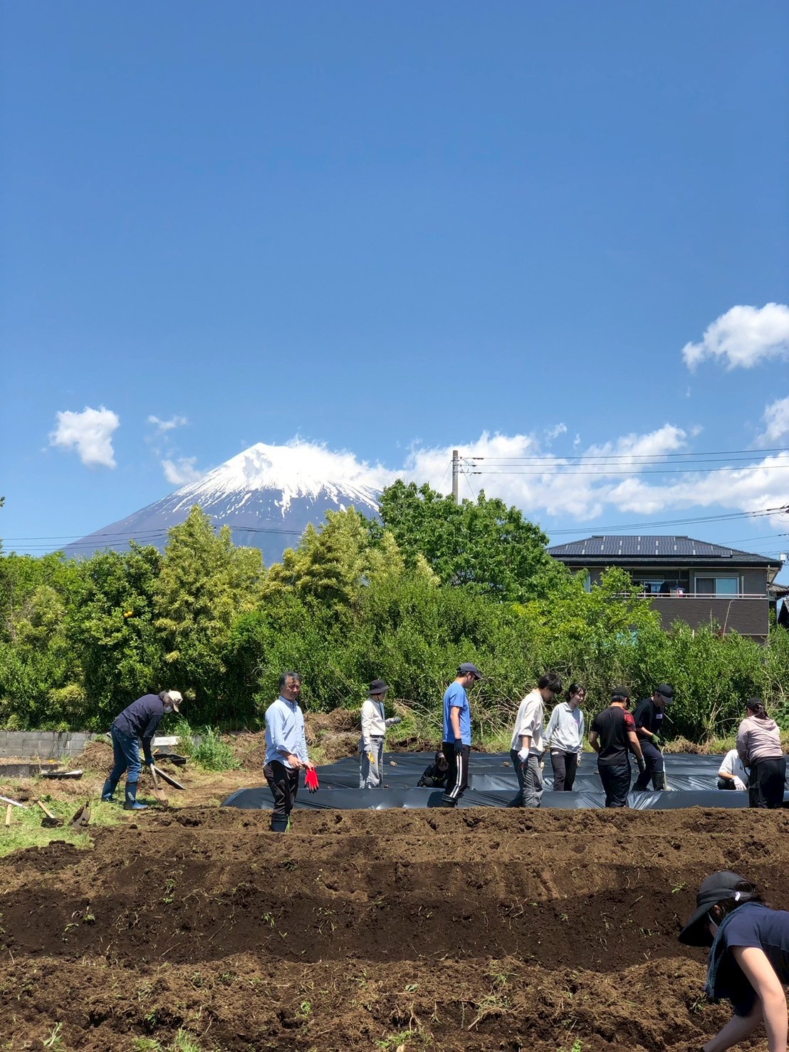 LINE_ALBUM_2026.5.2畝づくり_マルチ張り_260502_7