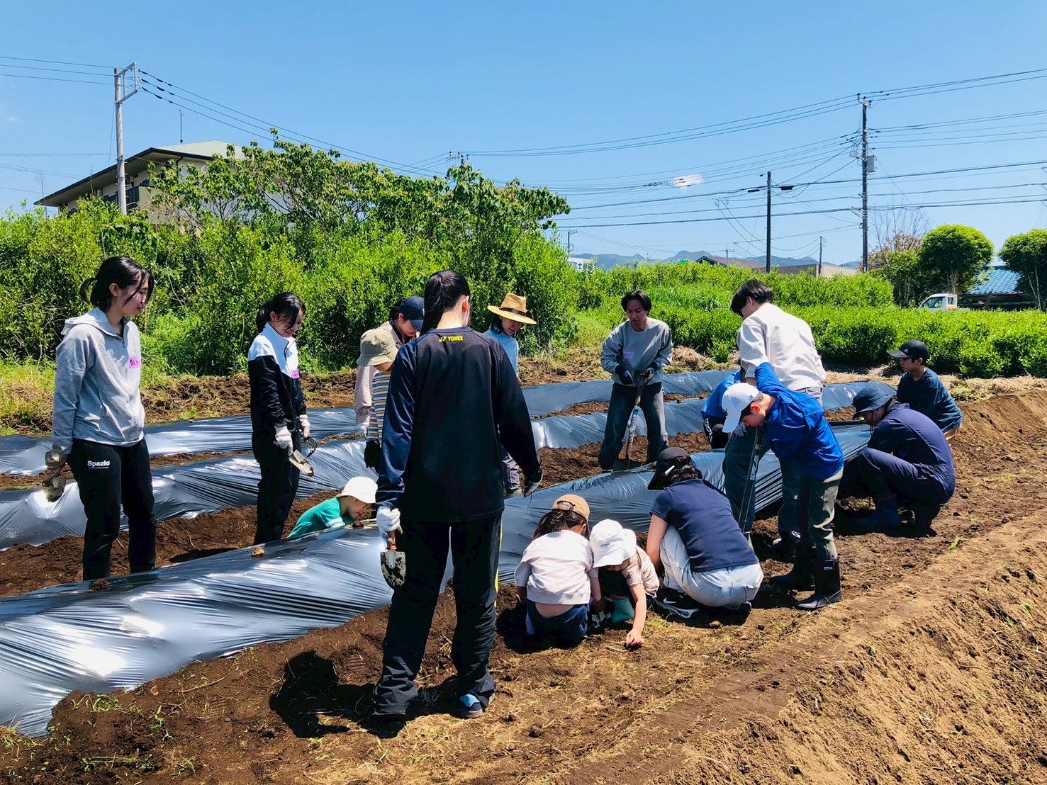 LINE_ALBUM_2026.5.2畝づくり_マルチ張り_260502_6