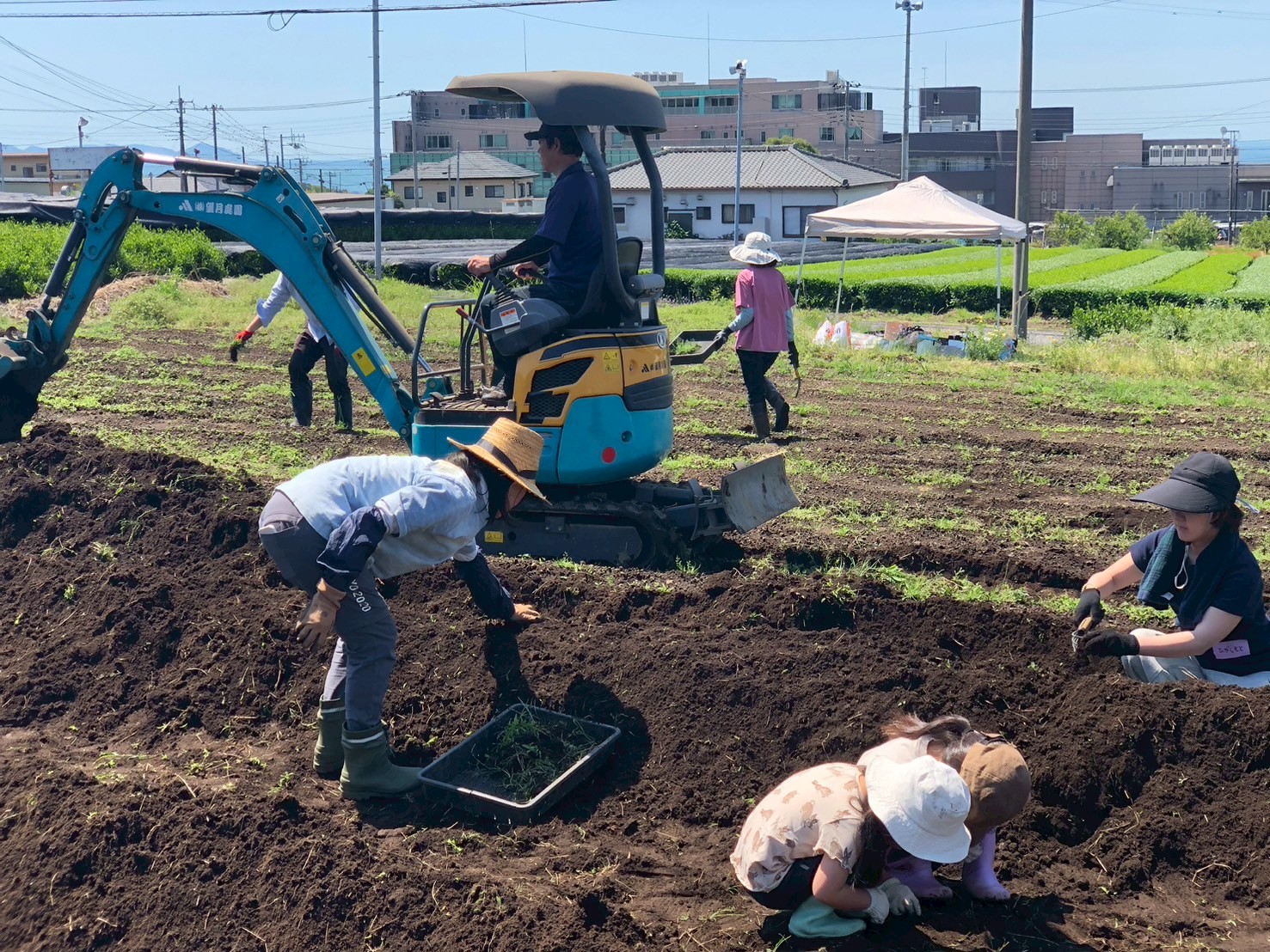 LINE_ALBUM_2026.5.2畝づくり_マルチ張り_260502_4