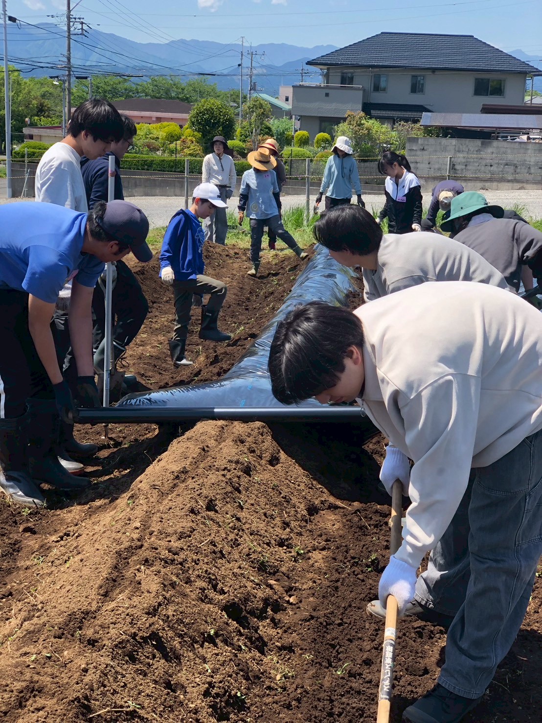LINE_ALBUM_2026.5.2畝づくり_マルチ張り_260502_8