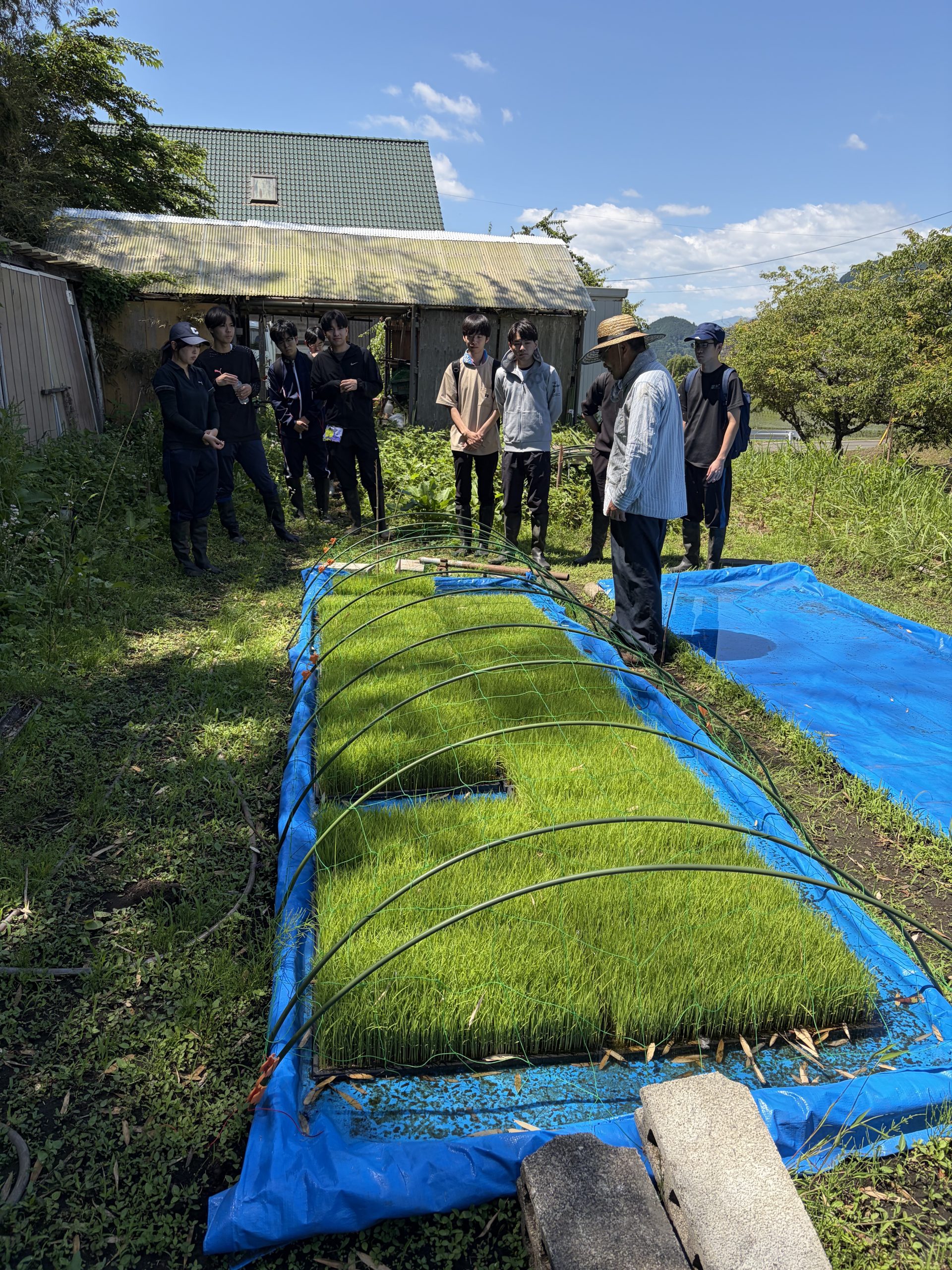 【田んぼの学校　田植え 2026/05/30】
