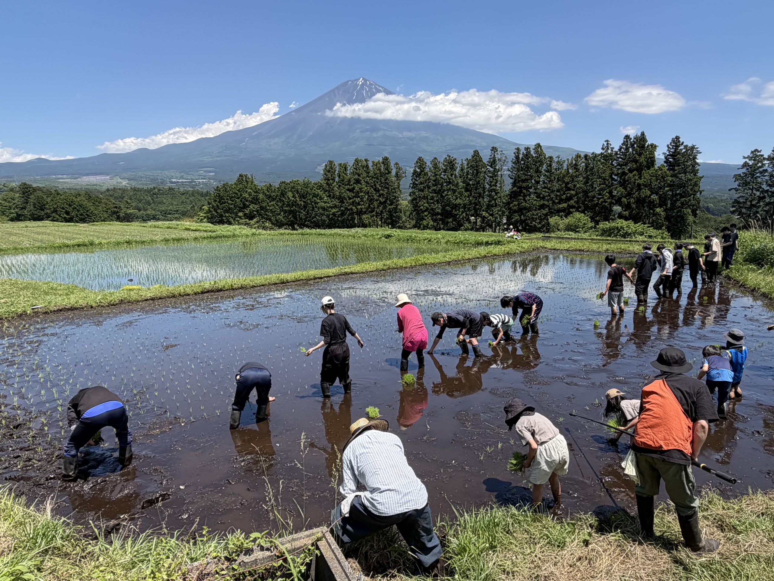 【田んぼの学校　田植え 2026/05/30】