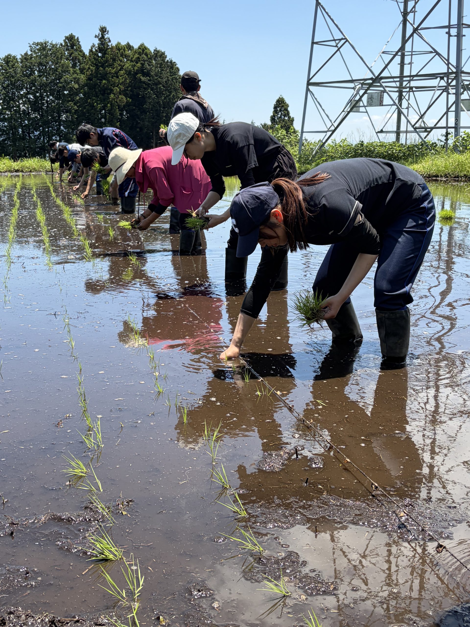 【田んぼの学校　田植え 2026/05/30】