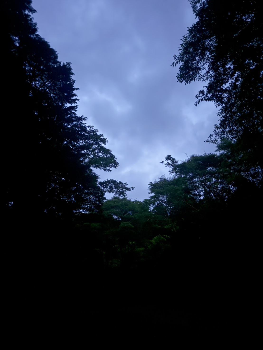 S__214286386